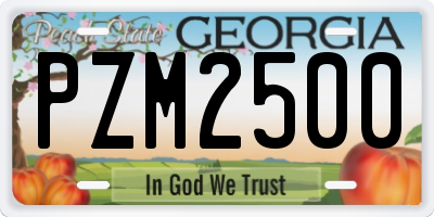 GA license plate PZM2500