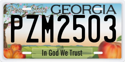 GA license plate PZM2503