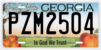 GA license plate PZM2504