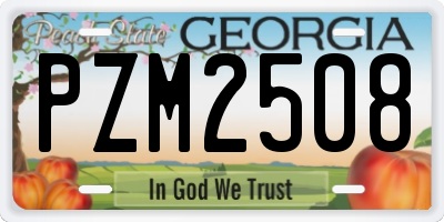 GA license plate PZM2508