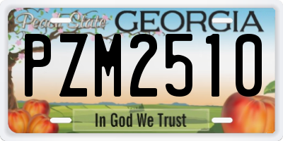GA license plate PZM2510