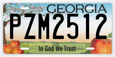 GA license plate PZM2512