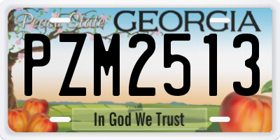GA license plate PZM2513