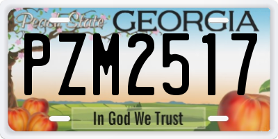 GA license plate PZM2517
