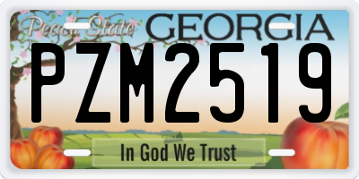 GA license plate PZM2519