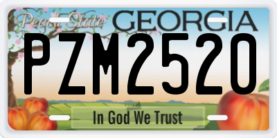 GA license plate PZM2520