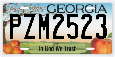 GA license plate PZM2523