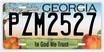 GA license plate PZM2527