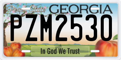 GA license plate PZM2530