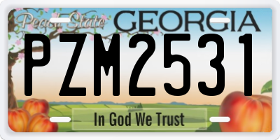 GA license plate PZM2531