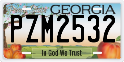 GA license plate PZM2532
