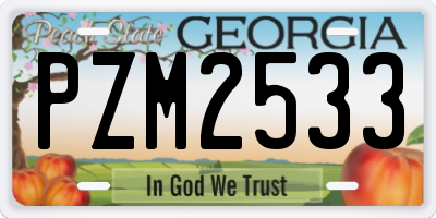 GA license plate PZM2533