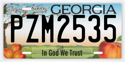GA license plate PZM2535