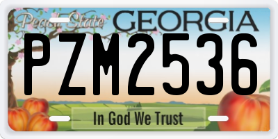 GA license plate PZM2536