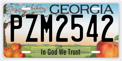 GA license plate PZM2542