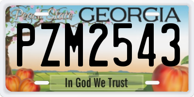 GA license plate PZM2543