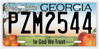 GA license plate PZM2544