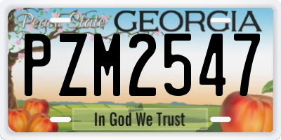 GA license plate PZM2547
