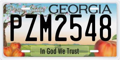 GA license plate PZM2548