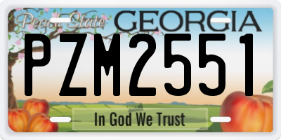 GA license plate PZM2551