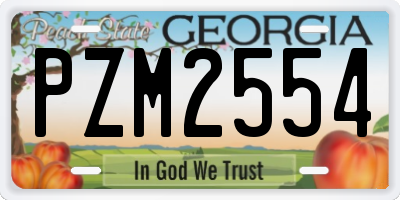 GA license plate PZM2554