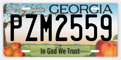 GA license plate PZM2559