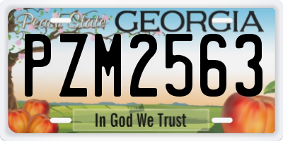 GA license plate PZM2563