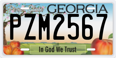 GA license plate PZM2567