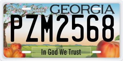 GA license plate PZM2568