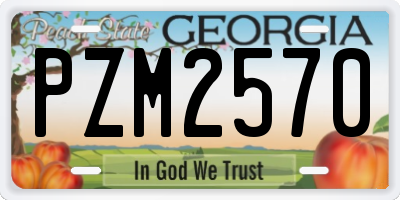 GA license plate PZM2570