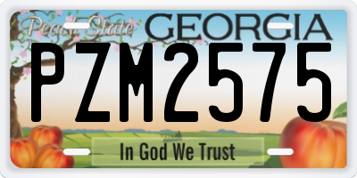 GA license plate PZM2575
