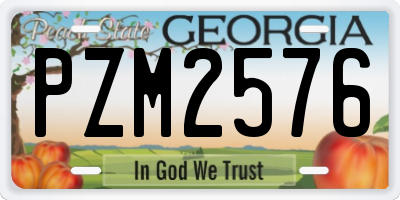 GA license plate PZM2576