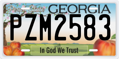 GA license plate PZM2583