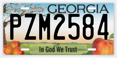 GA license plate PZM2584