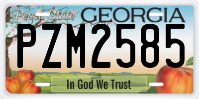 GA license plate PZM2585