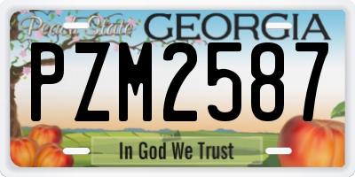 GA license plate PZM2587