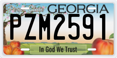 GA license plate PZM2591