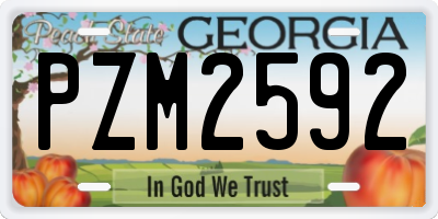 GA license plate PZM2592