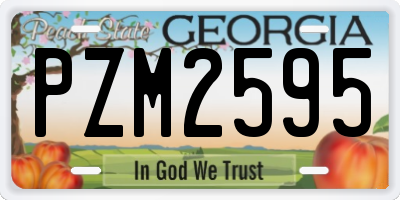 GA license plate PZM2595