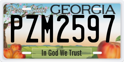 GA license plate PZM2597