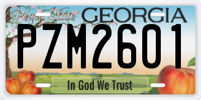 GA license plate PZM2601