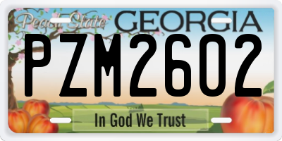 GA license plate PZM2602
