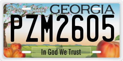 GA license plate PZM2605
