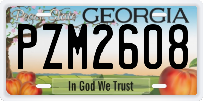 GA license plate PZM2608