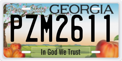 GA license plate PZM2611