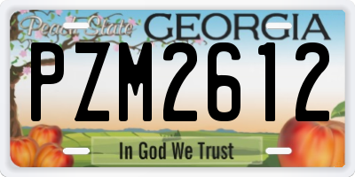GA license plate PZM2612