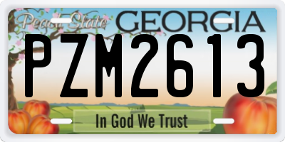 GA license plate PZM2613