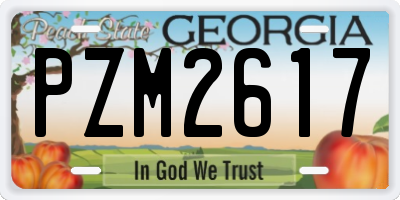 GA license plate PZM2617