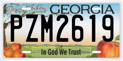 GA license plate PZM2619