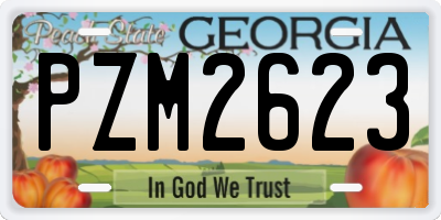 GA license plate PZM2623